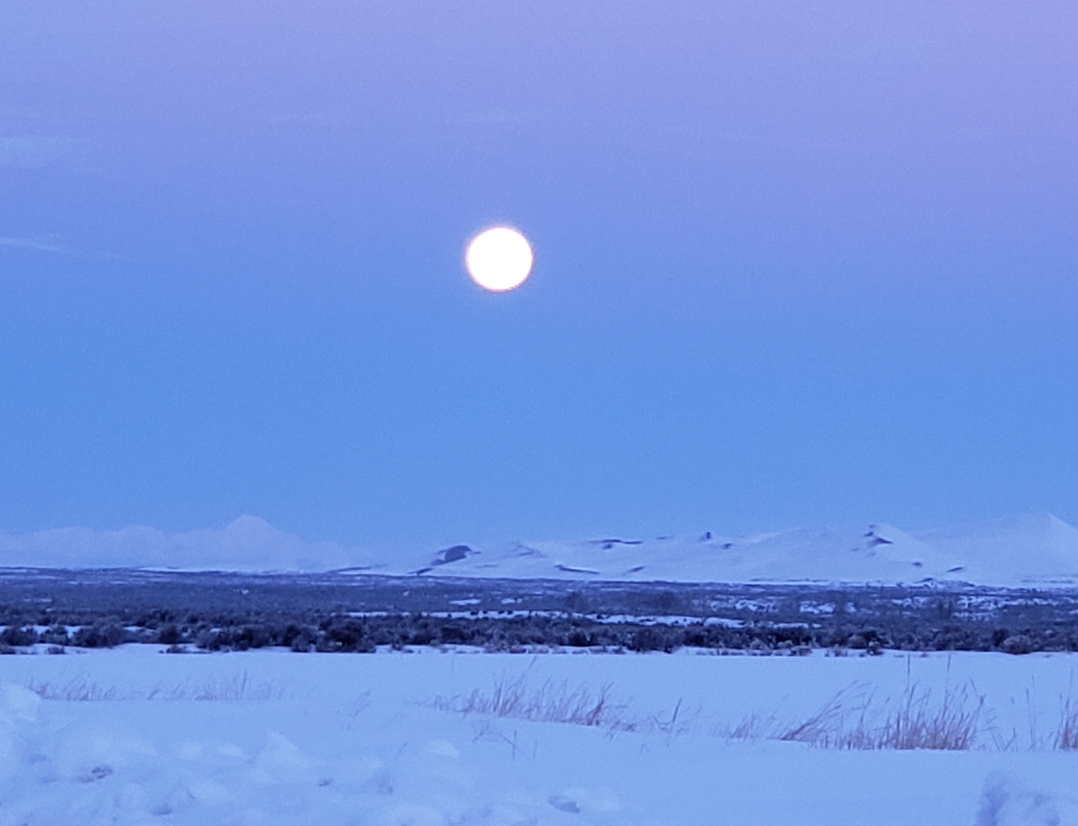 Patty Tullock - Supermoon (Feb. 19, 2019)